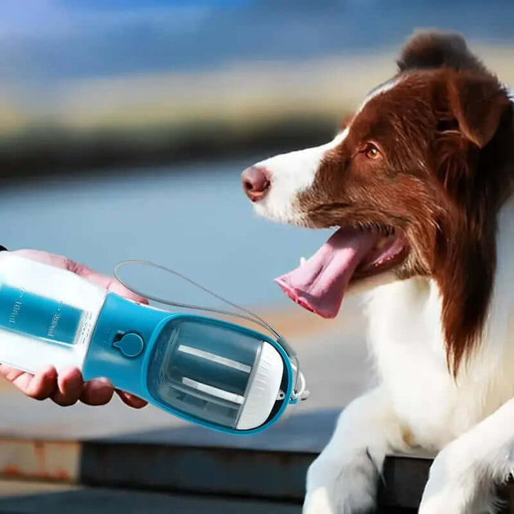 Dog Water Cup Drinking Food Garbage Bag Three-in-one Portable Small